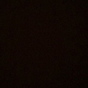 Meet your Posher, Jackson